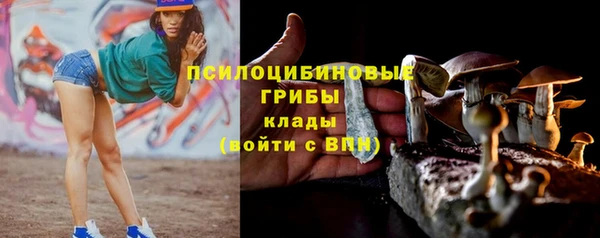 крисы Беломорск
