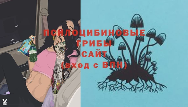 меф Белокуриха