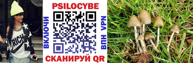 blacksprut зеркало  Высоцк  Псилоцибиновые грибы Psilocybe 