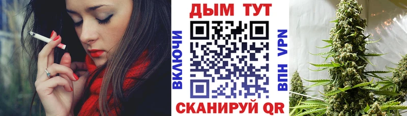 Конопля гибрид Высоцк